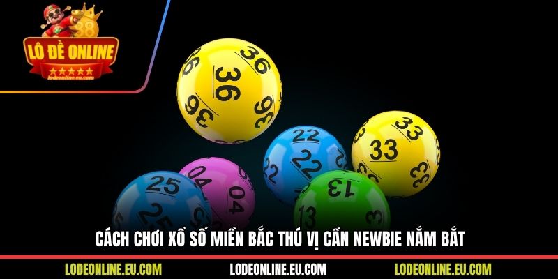 Cách chơi xổ số miền Bắc thú vị cần newbie nắm bắt