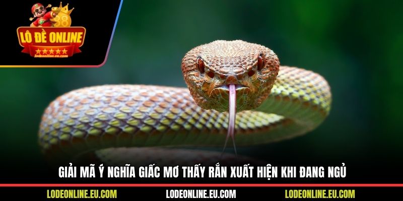 Giải mã ý nghĩa giấc mơ thấy rắn xuất hiện khi đang ngủ