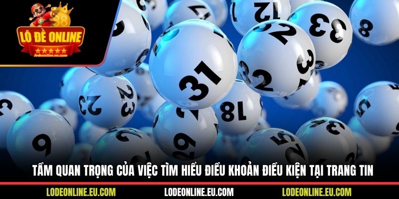 Tầm quan trọng của việc tìm hiểu điều khoản điều kiện tại trang tin